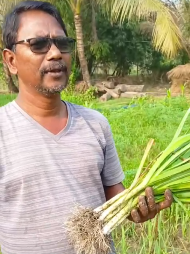 Healthy Running Habits