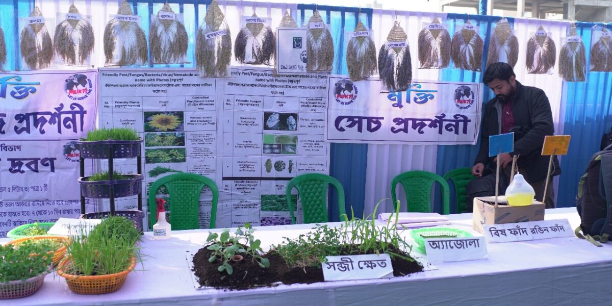 Healthy Running Habits